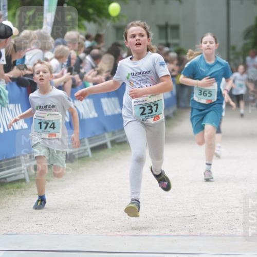 17.05.2025 - Störlauf H.Heesch http://msf.ph/oto/7868882 17.05.2025 13:43:03 Ziel  meine-sportfotos.de