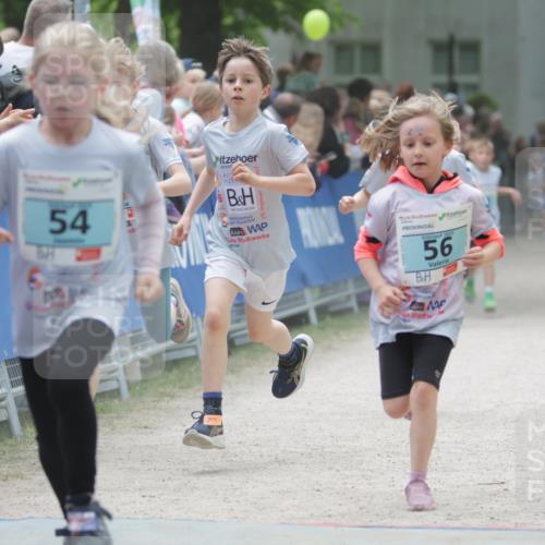 17.05.2025 - Störlauf H.Heesch http://msf.ph/oto/7870007 17.05.2025 13:43:09 Ziel  meine-sportfotos.de