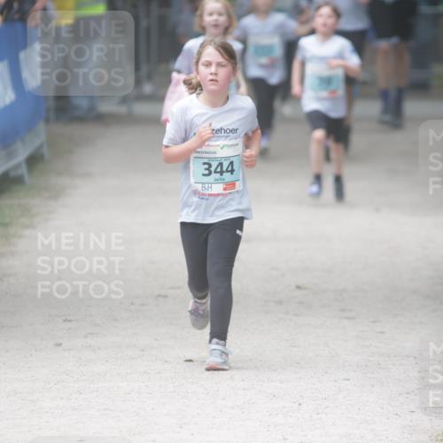 17.05.2025 - Störlauf H.Heesch http://msf.ph/oto/7870232 17.05.2025 13:43:37 Ziel  meine-sportfotos.de