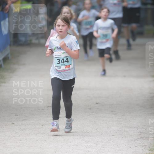 17.05.2025 - Störlauf H.Heesch http://msf.ph/oto/7870239 17.05.2025 13:43:37 Ziel  meine-sportfotos.de