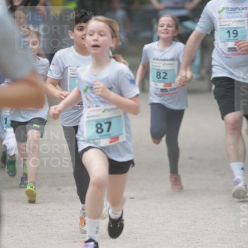 17.05.2025 - Störlauf H.Heesch http://msf.ph/oto/7870313 17.05.2025 13:43:47 Ziel  meine-sportfotos.de