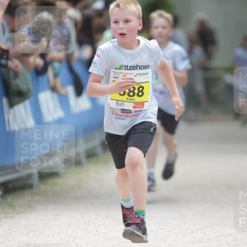 17.05.2025 - Störlauf H.Heesch http://msf.ph/oto/7870431 17.05.2025 14:10:52 Ziel  meine-sportfotos.de
