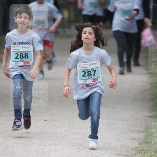 17.05.2025 - Störlauf H.Heesch http://msf.ph/oto/7870469 17.05.2025 13:44:04 Ziel  meine-sportfotos.de