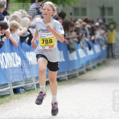 17.05.2025 - Störlauf H.Heesch http://msf.ph/oto/7870699 17.05.2025 14:11:24 Ziel  meine-sportfotos.de