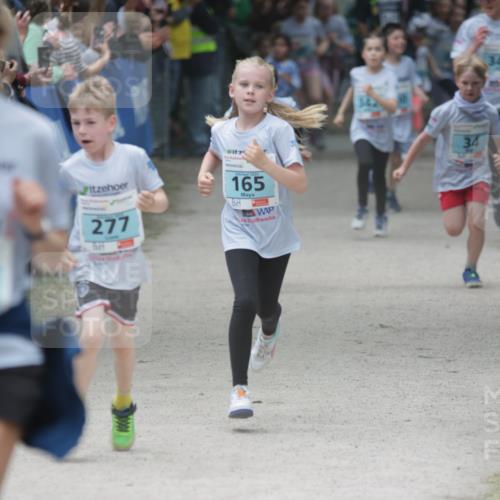 17.05.2025 - Störlauf H.Heesch http://msf.ph/oto/7870715 17.05.2025 13:44:41 Ziel  meine-sportfotos.de