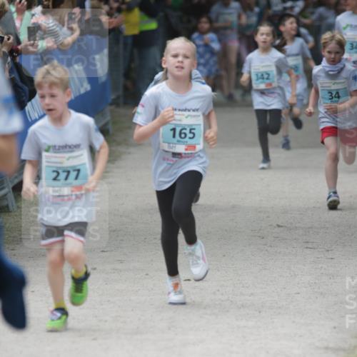 17.05.2025 - Störlauf H.Heesch http://msf.ph/oto/7870723 17.05.2025 13:44:42 Ziel  meine-sportfotos.de