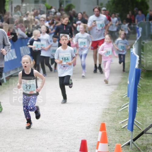 17.05.2025 - Störlauf H.Heesch http://msf.ph/oto/7870940 17.05.2025 13:45:09 Ziel  meine-sportfotos.de
