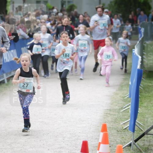 17.05.2025 - Störlauf H.Heesch http://msf.ph/oto/7870948 17.05.2025 13:45:09 Ziel  meine-sportfotos.de