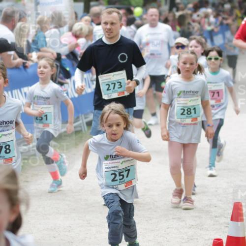 17.05.2025 - Störlauf H.Heesch http://msf.ph/oto/7871120 17.05.2025 13:45:36 Ziel  meine-sportfotos.de