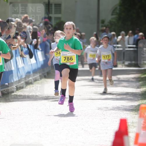 17.05.2025 - Störlauf H.Heesch http://msf.ph/oto/7871124 17.05.2025 14:12:20 Ziel  meine-sportfotos.de