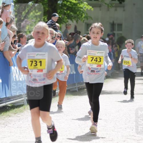 17.05.2025 - Störlauf H.Heesch http://msf.ph/oto/7871487 17.05.2025 14:12:50 Ziel  meine-sportfotos.de