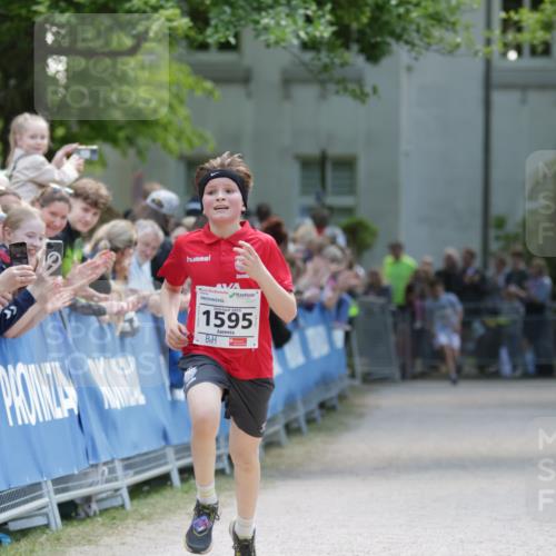 17.05.2025 - Störlauf H.Heesch http://msf.ph/oto/7871500 17.05.2025 14:37:33 Ziel  meine-sportfotos.de