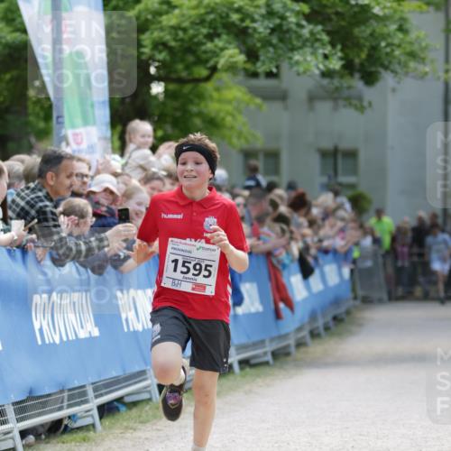 17.05.2025 - Störlauf H.Heesch http://msf.ph/oto/7871525 17.05.2025 14:37:34 Ziel  meine-sportfotos.de