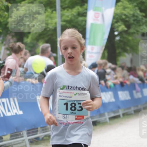 17.05.2025 - Störlauf H.Heesch http://msf.ph/oto/7871611 17.05.2025 13:46:33 Ziel  meine-sportfotos.de