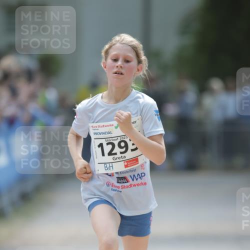 17.05.2025 - Störlauf H.Heesch http://msf.ph/oto/7871724 17.05.2025 14:38:26 Ziel  meine-sportfotos.de