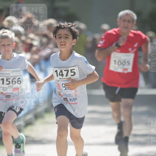 17.05.2025 - Störlauf H.Heesch http://msf.ph/oto/7872021 17.05.2025 14:40:46 Ziel  meine-sportfotos.de