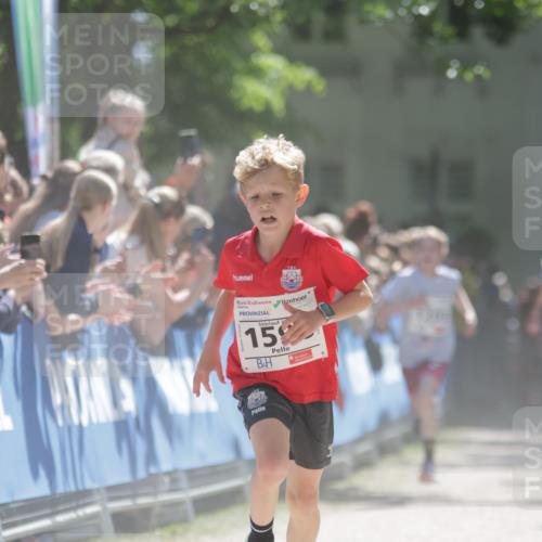 17.05.2025 - Störlauf H.Heesch http://msf.ph/oto/7872066 17.05.2025 14:41:32 Ziel  meine-sportfotos.de