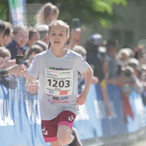 17.05.2025 - Störlauf H.Heesch http://msf.ph/oto/7872075 17.05.2025 14:41:35 Ziel  meine-sportfotos.de