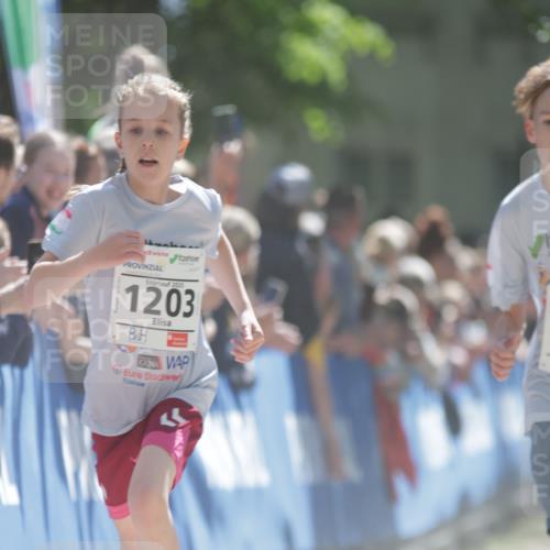 17.05.2025 - Störlauf H.Heesch http://msf.ph/oto/7872076 17.05.2025 14:41:35 Ziel  meine-sportfotos.de
