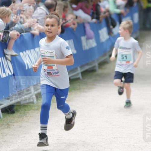 17.05.2025 - Störlauf H.Heesch http://msf.ph/oto/7872212 17.05.2025 13:47:06 Ziel  meine-sportfotos.de