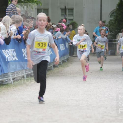 17.05.2025 - Störlauf H.Heesch http://msf.ph/oto/7872332 17.05.2025 14:14:13 Ziel  meine-sportfotos.de