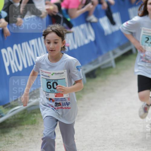 17.05.2025 - Störlauf H.Heesch http://msf.ph/oto/7872352 17.05.2025 13:47:18 Ziel  meine-sportfotos.de