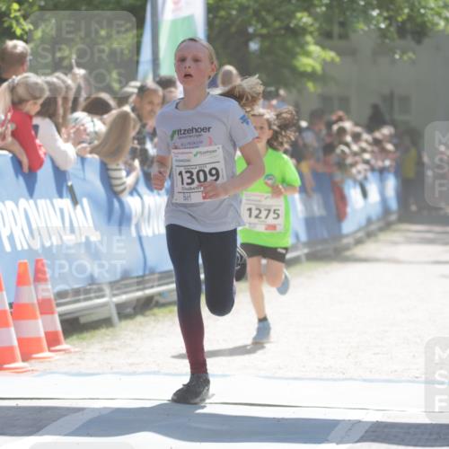 17.05.2025 - Störlauf H.Heesch http://msf.ph/oto/7872649 17.05.2025 14:43:26 Ziel  meine-sportfotos.de