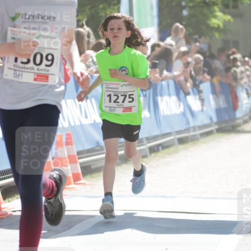17.05.2025 - Störlauf H.Heesch http://msf.ph/oto/7872661 17.05.2025 14:43:27 Ziel  meine-sportfotos.de