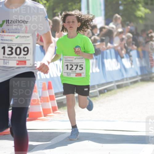 17.05.2025 - Störlauf H.Heesch http://msf.ph/oto/7872663 17.05.2025 14:43:27 Ziel  meine-sportfotos.de