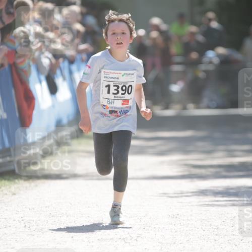 17.05.2025 - Störlauf H.Heesch http://msf.ph/oto/7872778 17.05.2025 14:44:02 Ziel  meine-sportfotos.de