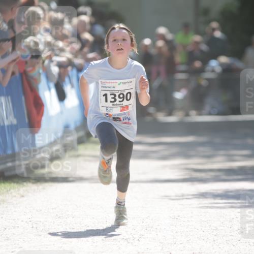 17.05.2025 - Störlauf H.Heesch http://msf.ph/oto/7872780 17.05.2025 14:44:02 Ziel  meine-sportfotos.de