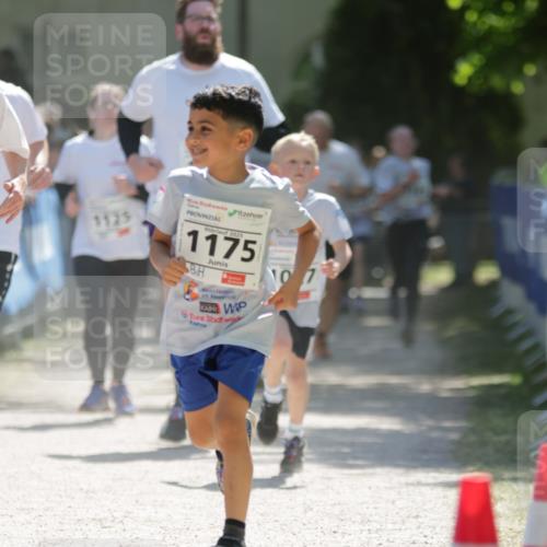 17.05.2025 - Störlauf H.Heesch http://msf.ph/oto/7873516 17.05.2025 14:45:42 Ziel  meine-sportfotos.de