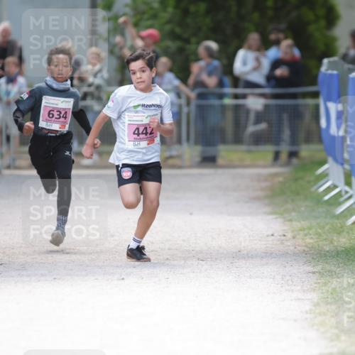 17.05.2025 - Störlauf H.Heesch http://msf.ph/oto/7873681 17.05.2025 13:54:25 Ziel  meine-sportfotos.de