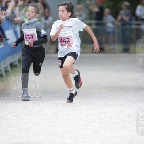 17.05.2025 - Störlauf H.Heesch http://msf.ph/oto/7873690 17.05.2025 13:54:26 Ziel  meine-sportfotos.de