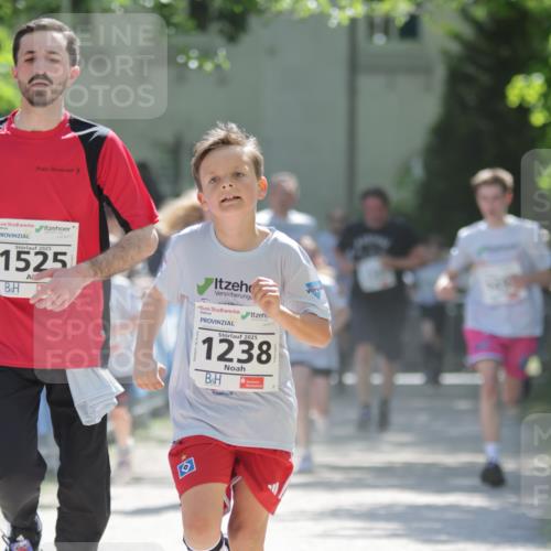 17.05.2025 - Störlauf H.Heesch http://msf.ph/oto/7873717 17.05.2025 14:46:25 Ziel  meine-sportfotos.de