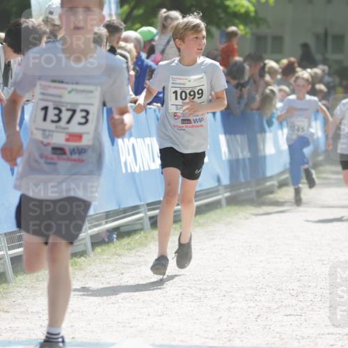 17.05.2025 - Störlauf H.Heesch http://msf.ph/oto/7873826 17.05.2025 14:46:38 Ziel  meine-sportfotos.de