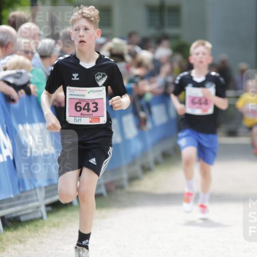 17.05.2025 - Störlauf H.Heesch http://msf.ph/oto/7874062 17.05.2025 13:55:35 Ziel  meine-sportfotos.de