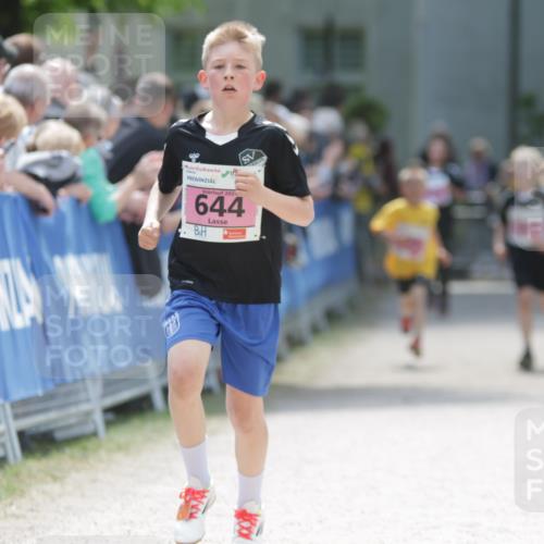 17.05.2025 - Störlauf H.Heesch http://msf.ph/oto/7874066 17.05.2025 13:55:37 Ziel  meine-sportfotos.de