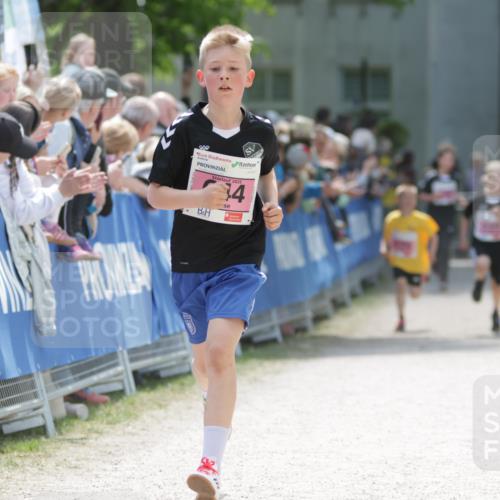 17.05.2025 - Störlauf H.Heesch http://msf.ph/oto/7874072 17.05.2025 13:55:37 Ziel  meine-sportfotos.de