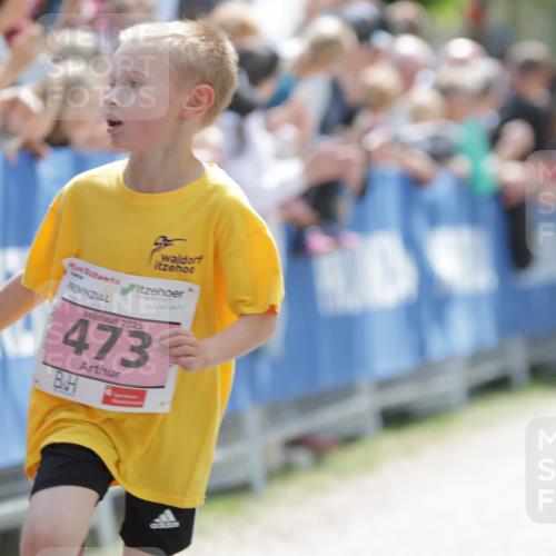 17.05.2025 - Störlauf H.Heesch http://msf.ph/oto/7874085 17.05.2025 13:55:44 Ziel  meine-sportfotos.de