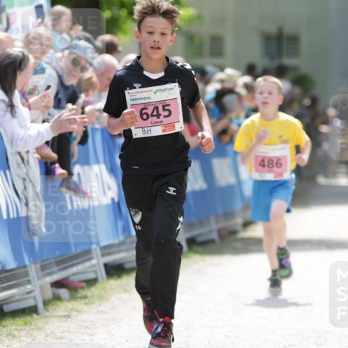 17.05.2025 - Störlauf H.Heesch http://msf.ph/oto/7874086 17.05.2025 13:55:45 Ziel  meine-sportfotos.de
