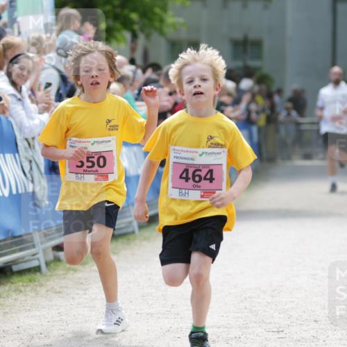 17.05.2025 - Störlauf H.Heesch http://msf.ph/oto/7874102 17.05.2025 13:55:54 Ziel  meine-sportfotos.de