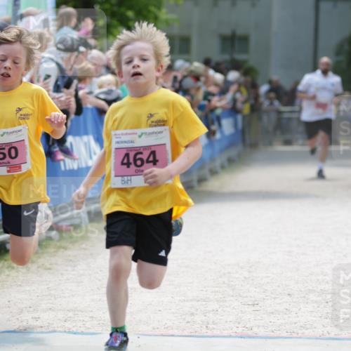 17.05.2025 - Störlauf H.Heesch http://msf.ph/oto/7874105 17.05.2025 13:55:55 Ziel  meine-sportfotos.de