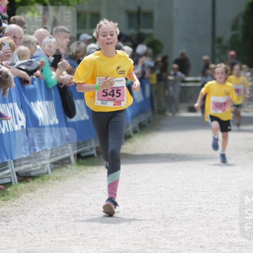 17.05.2025 - Störlauf H.Heesch http://msf.ph/oto/7874121 17.05.2025 13:56:06 Ziel  meine-sportfotos.de