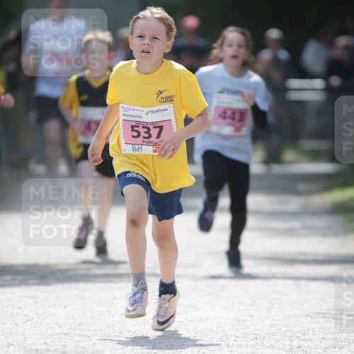17.05.2025 - Störlauf H.Heesch http://msf.ph/oto/7874136 17.05.2025 13:56:12 Ziel  meine-sportfotos.de