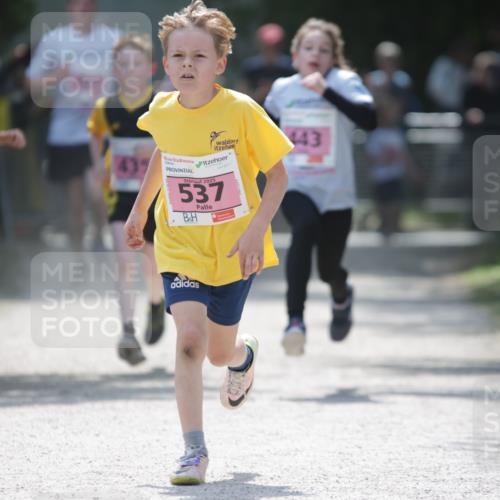17.05.2025 - Störlauf H.Heesch http://msf.ph/oto/7874137 17.05.2025 13:56:12 Ziel  meine-sportfotos.de