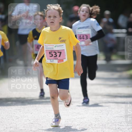 17.05.2025 - Störlauf H.Heesch http://msf.ph/oto/7874139 17.05.2025 13:56:12 Ziel  meine-sportfotos.de