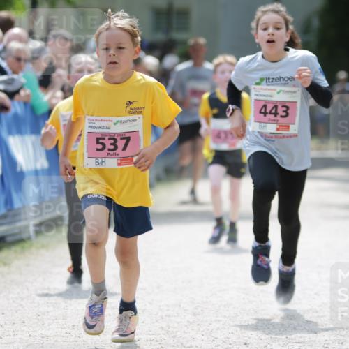 17.05.2025 - Störlauf H.Heesch http://msf.ph/oto/7874141 17.05.2025 13:56:15 Ziel  meine-sportfotos.de