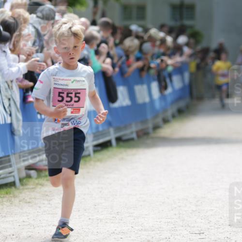 17.05.2025 - Störlauf H.Heesch http://msf.ph/oto/7874157 17.05.2025 13:56:23 Ziel  meine-sportfotos.de