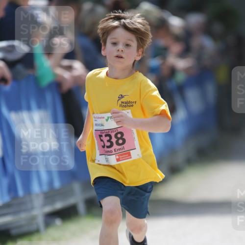 17.05.2025 - Störlauf H.Heesch http://msf.ph/oto/7874178 17.05.2025 13:56:39 Ziel  meine-sportfotos.de